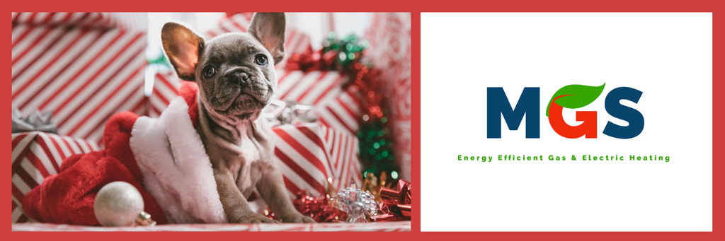 Happy Holidays from MGS